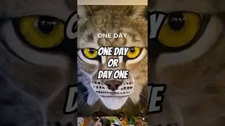 One day or day one ✨️ #acrylicpainting #motivation #animalart #oneday #realistic #art #artist