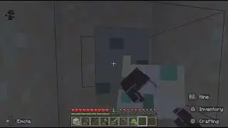 Minecraf turtle having baby egg