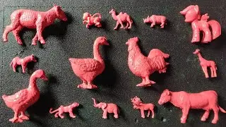 Membersihkan hewan sapi, bebek, angsa, ayam, gajah, simpanse, singa, unta, buaya, kangguru