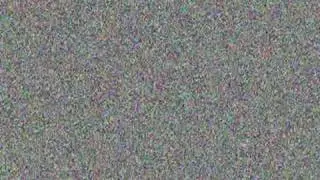 Wafu Video 519