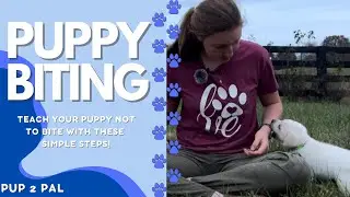 Puppy Biting- FASTEST way To STOP Puppy BITING