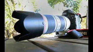 What is the best gear for your next wildlife photographic safari?