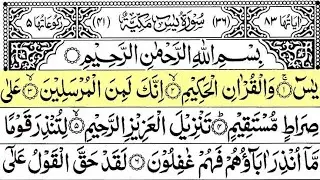 Surah Yaseen Surah Rahman || Relaxing Tilawat || Beautiful Quran Recitation || Yaseen Sharif Tilawat