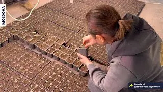 GlobalMedic Partners with Local Farmers to Provide Fresh Produce to Ukrainian Refugees