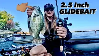 TINY Glidebait LAKE Session! |Fort Worth BFS Angling|