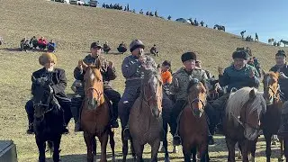 Тукуш балбан уулуна элден бата алуу максатында чоон Аламан улак берди