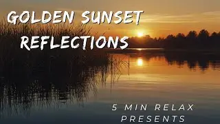 Golden Sunset Reflections: Tranquility by the Lake #relax #meditationmusic #relaxing #5minrelax