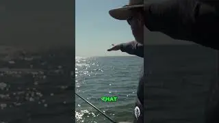 Bluefish vs Bull Red: Predator and Prey in Pamlico Sound