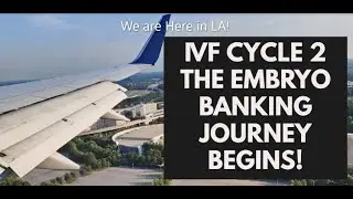 IVF CYCLE 2 | THE EMBRYO BANKING JOURNEY BEGINS