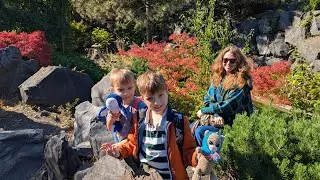 Egapark в Эрфурте: осень, цветы и тыквы