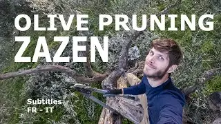 Inspiring Zen practice for gardening! Olive tree pruning: a workshop with yoga and Zazen