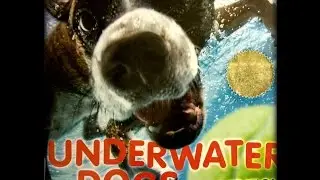 Underwater Dogs