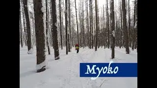 Amazing runs in Myokyo Kogen [Season 2017 - 2018] | Tokyo Gaijins