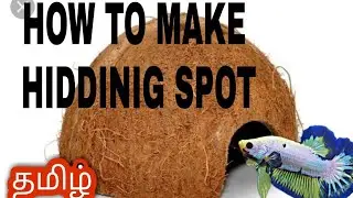 how to make hiding spot for fish in Tamil
