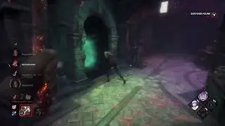 She fell into the portal | DBD