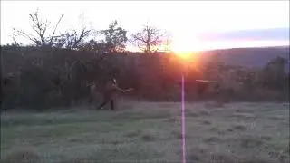 Propulseur entrainement ce soir / Atlatl training tonight