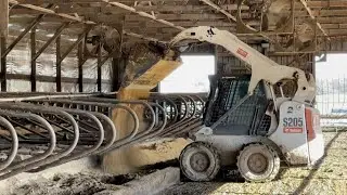 Sand bedding for the dairy cows! (Parlor update)