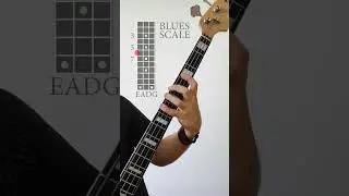 blues scale on bass 🎸🎩 #bass #bassguitar #tabs #lesson #youtubeshorts #music