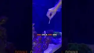 Feeding my eels and getting bit!