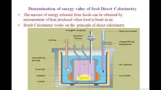 Energy Estimation