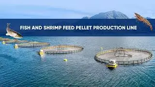 RICHI Aquafeed Production Line: Precision Nutrition for Fish & Shrimp