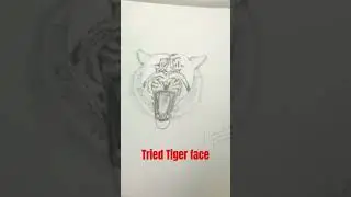 #tigerface #drawing #art #easy #vihaandrawing