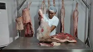 Primal cut 🔪🐖