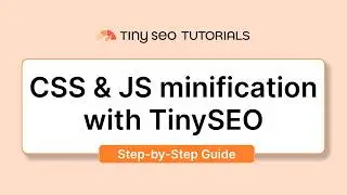 How to Minify CSS & JS on Shopify for Faster Loading with TinyIMG