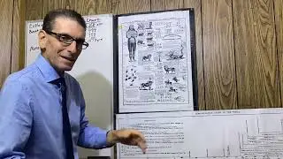 #10 1843 CHART