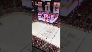 Press box view of the Detroit Red Wings from the gondola at Little Caesars Arena! 👀🏒 #redwings