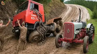 stupid heavy truck driving and ridiculous chainsaw tree cutting skills recommend you to ...!!! #13