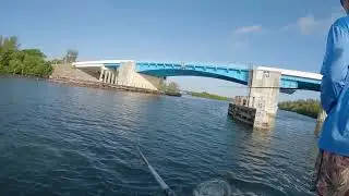 Florida Fishing with Gettin Lucky Sport Fishing