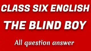 Class  Six English The Blind Boy question answer 