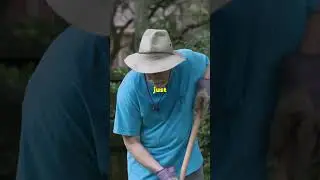 Garden Tools Gone Wild: The Attack of The Rogue Hoe