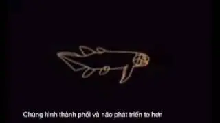 Tiến h&oacute;a mu&ocirc;n lo&agrave;i -sự b&iacute; ẩn của tự nhi&ecirc;n
