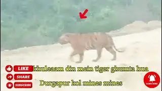 Durgapur kol mines ma/khule aam/ghumta hua /Chitra/#new #funny#video #harshsuparster//😭😭😭