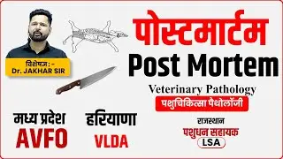 Veterinary Pathology पोस्टमार्टम, Post Mortem, Autopsy पैथोलॉजी, वेटनरी पैथोलॉजी, Veterinary Autopsy