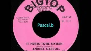 Andrea Carroll - It hurts to be sixteen