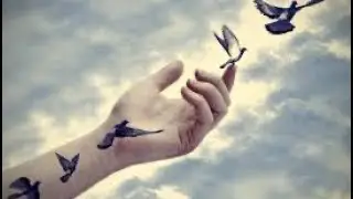 Let go. Moving on. Pisces full moon eclipse message 