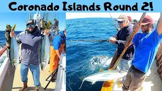 Yellowtail fishing!! Coronado Islands, Mexico Round 2!
