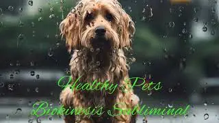 Healthy Pets Biokinesis Subliminal