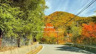 Autumn Real Japan Drive Vol.1: 5-Minute Brain Refresh with Music Playlist (No AI) by i-phone