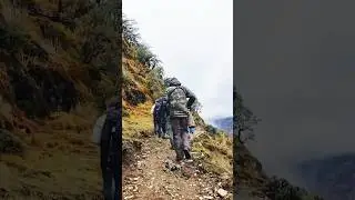 Birding on Top of the World #birdingperutrips #birdsofperu #shorts #wildlife #birdingadventure