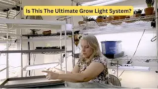 Trialing the Vego 2-Tier Tabletop Grow Light System + Microdwarf Tomatoes for Indoor Harvests