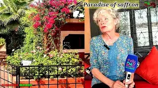 discover the paradise of saffron in Marrakesh