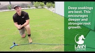 Уход за новым газоном