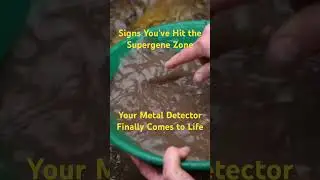 Supergene zone sign: the moment your metal detector finally comes alive. #goldgeology