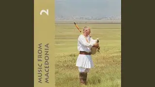 Strumichki oriental