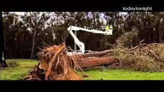 Wild Weather Warriors
