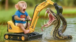 Monkey Zio Digs a Rescue Channel for the Turtle and Faces a Ferocious Giant Python! 🔥😱